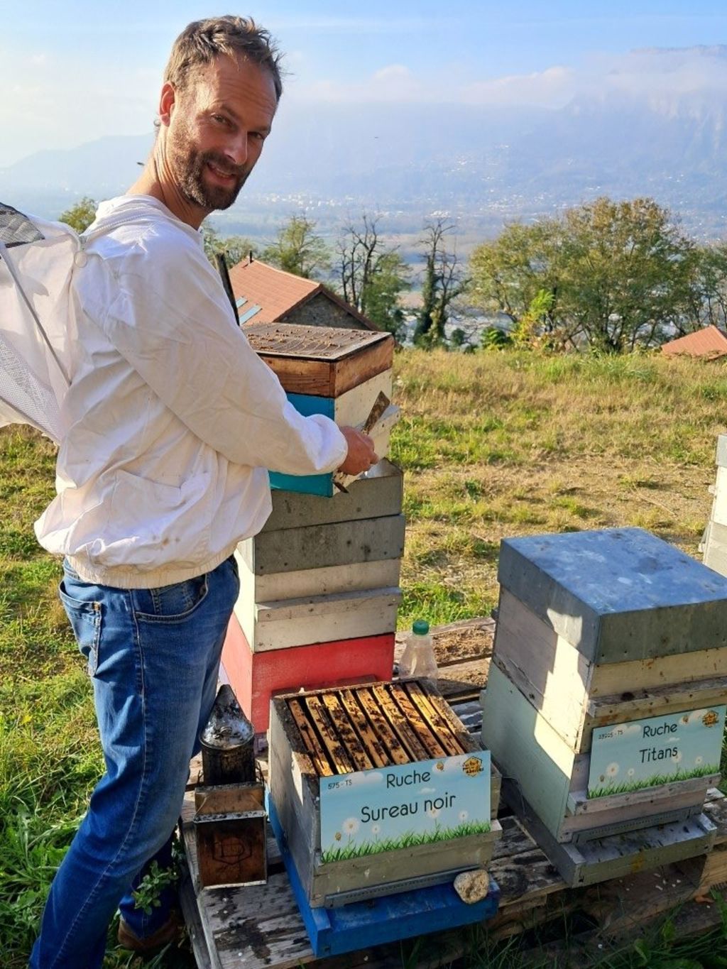 La ruche Sureau noir