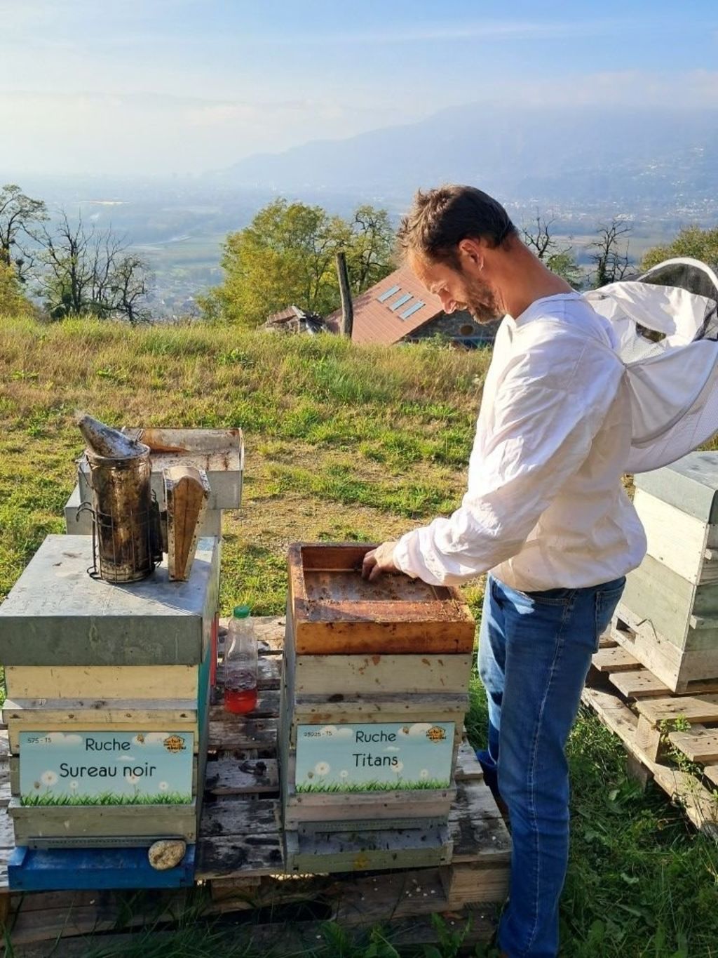 La ruche Sureau noir