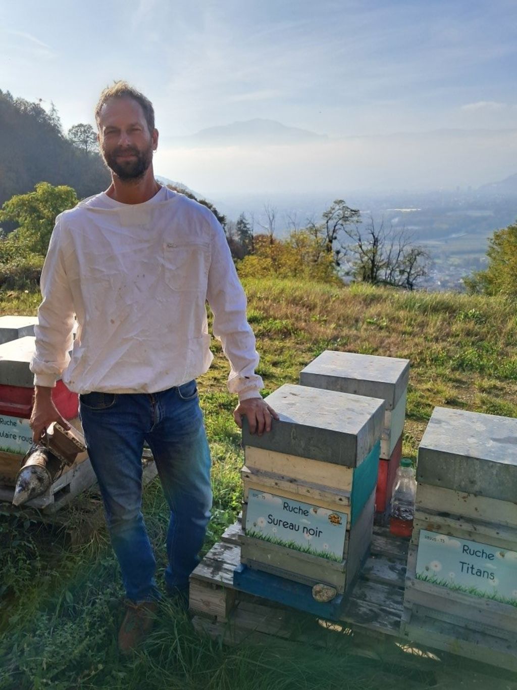 La ruche Sureau noir