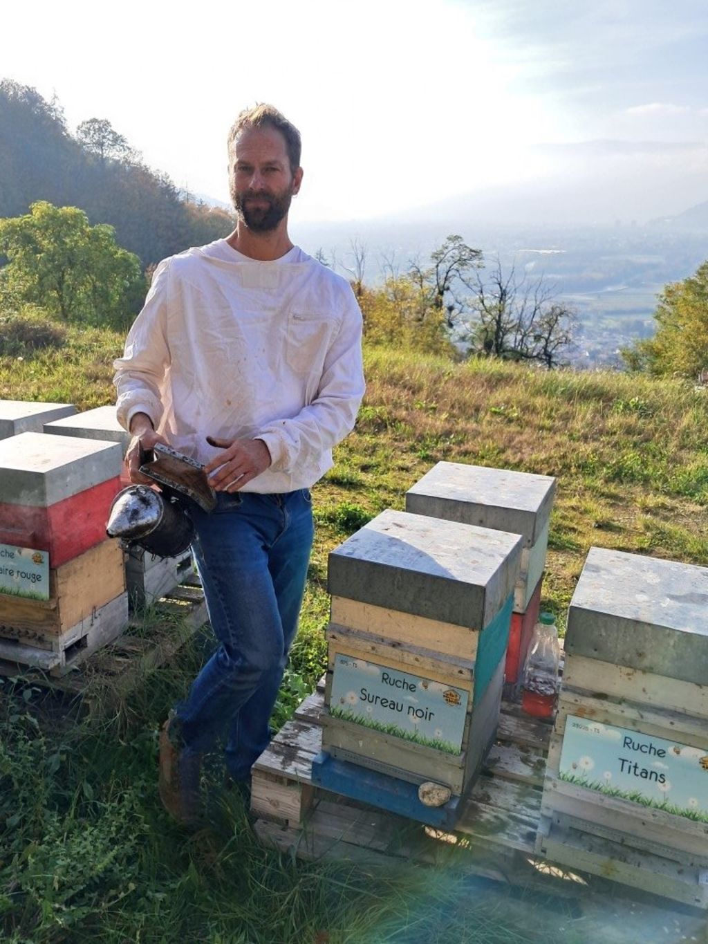 La ruche Sureau noir