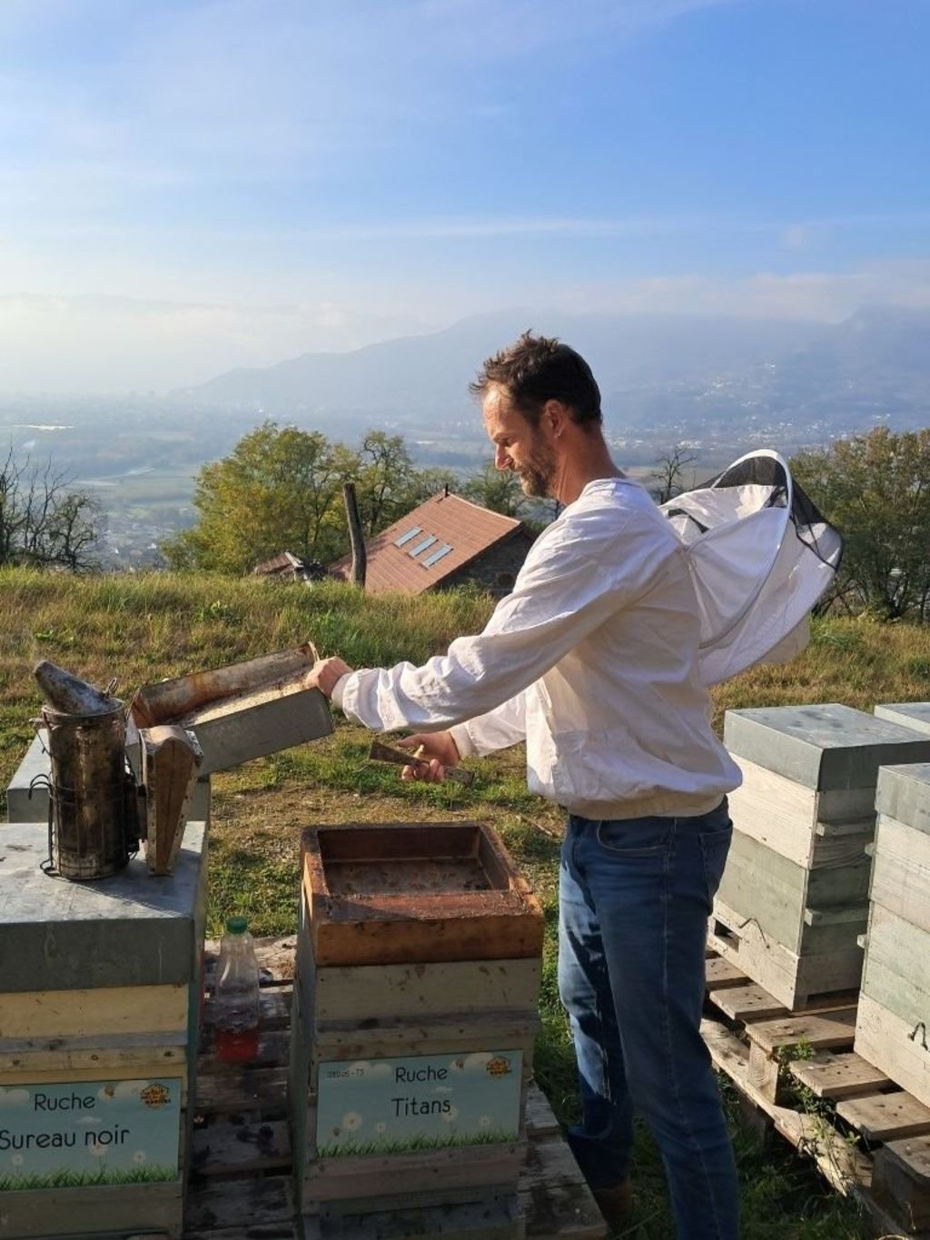 La ruche Sureau noir