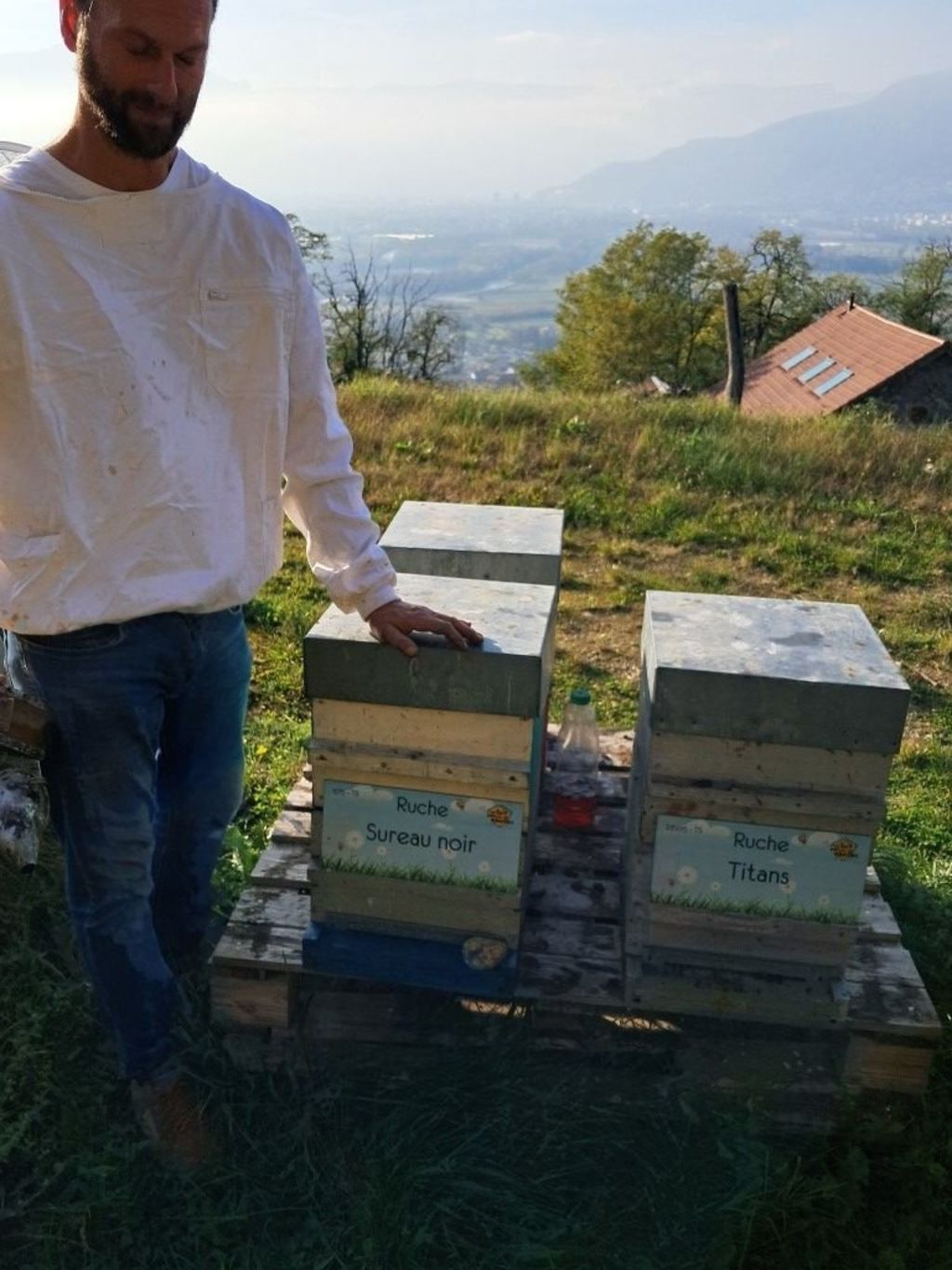 La ruche Sureau noir