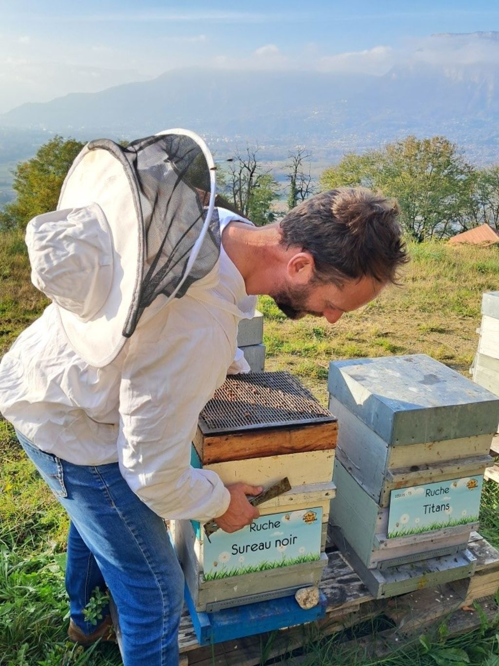 La ruche Sureau noir