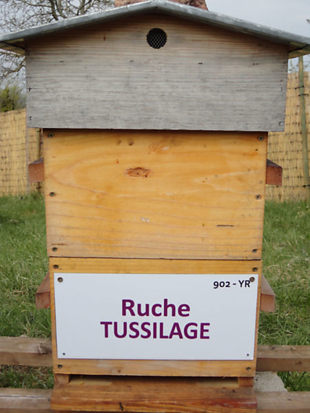 La ruche