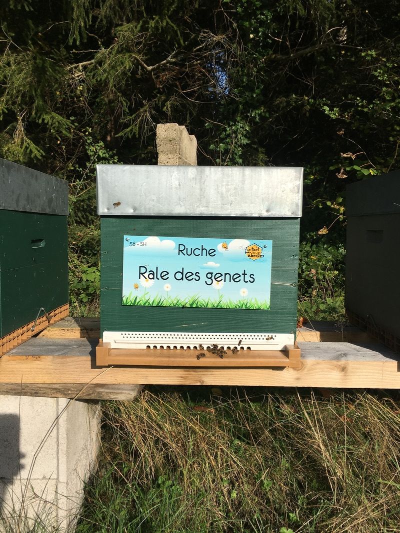 La ruche Rale des genets