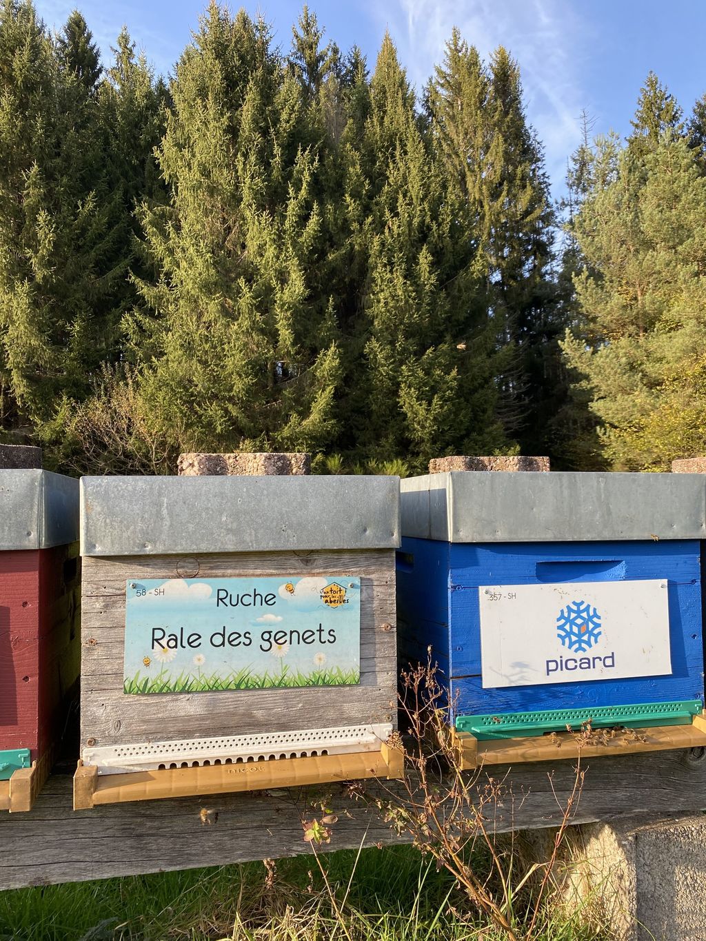 La ruche Rale des genets