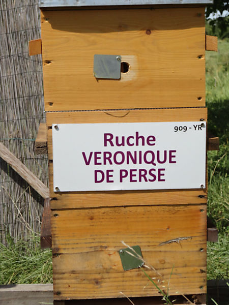 La ruche