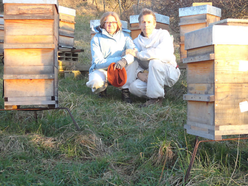 La ruche Vigne rouge