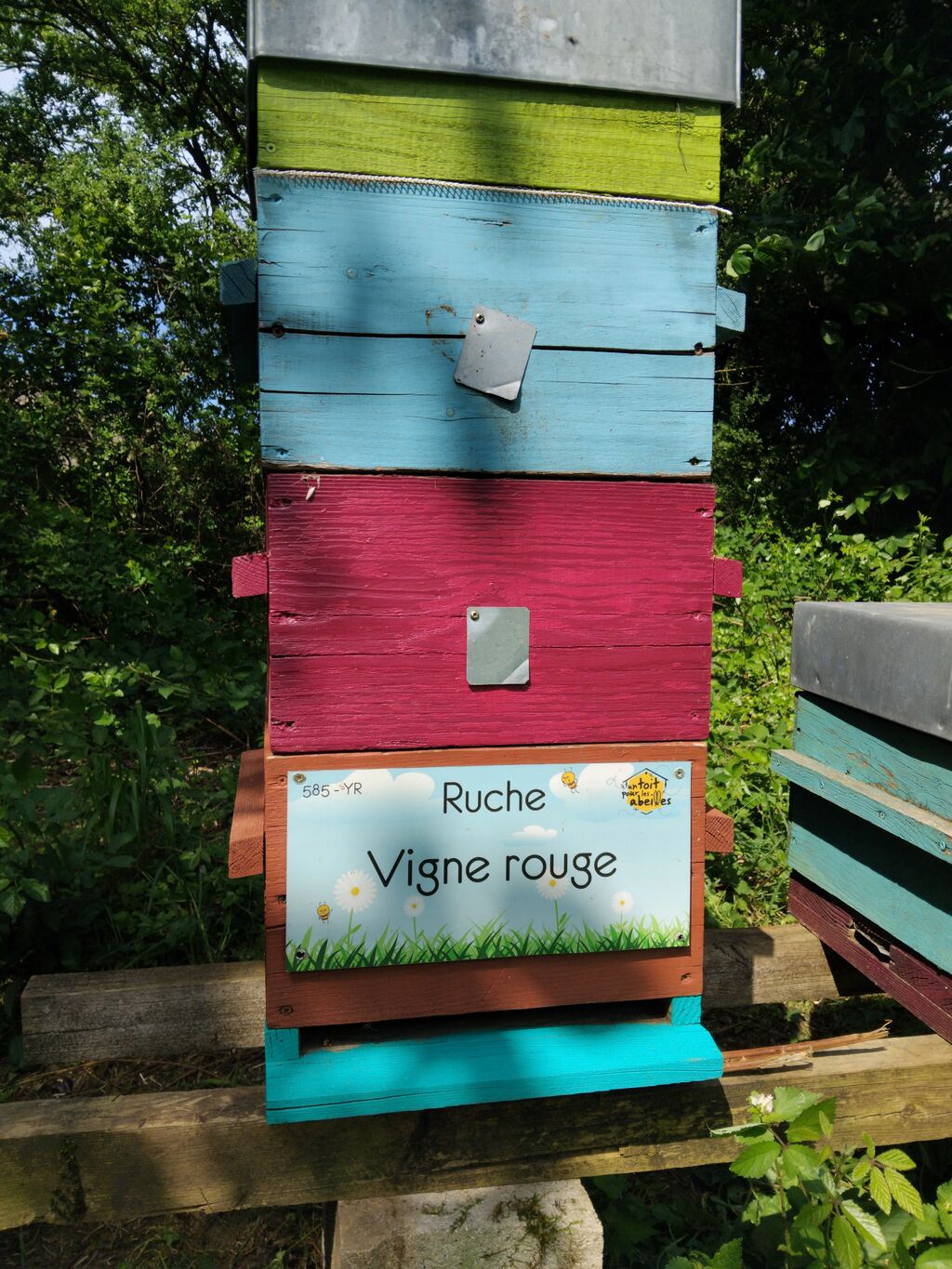 La ruche Vigne rouge