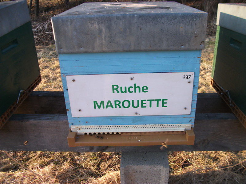 La ruche Marouette