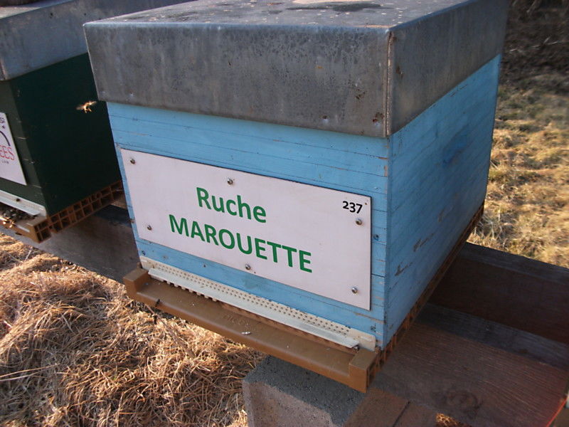 La ruche Marouette