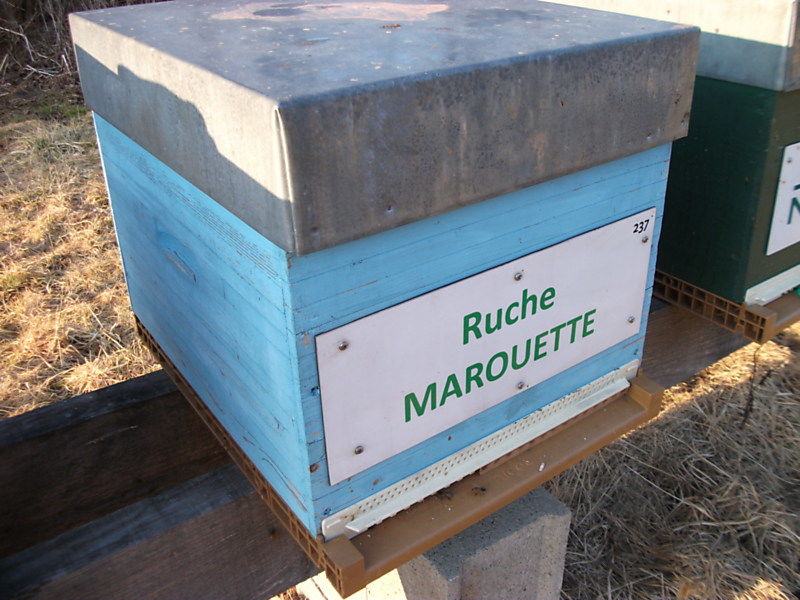 La ruche Marouette