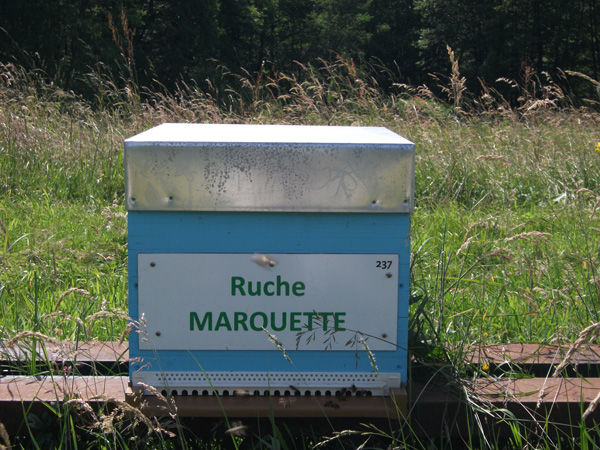 La ruche Marouette