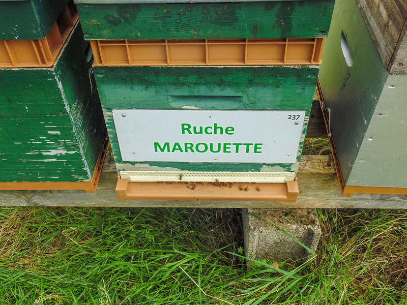 La ruche Marouette