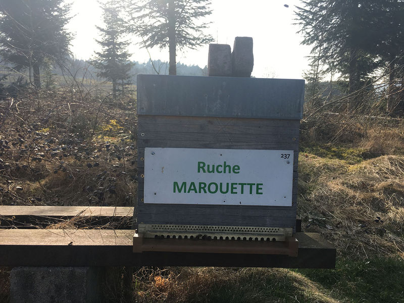 La ruche Marouette