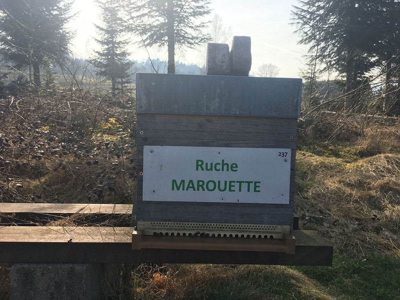 La ruche Marouette