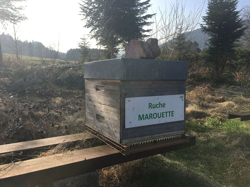 La ruche Marouette
