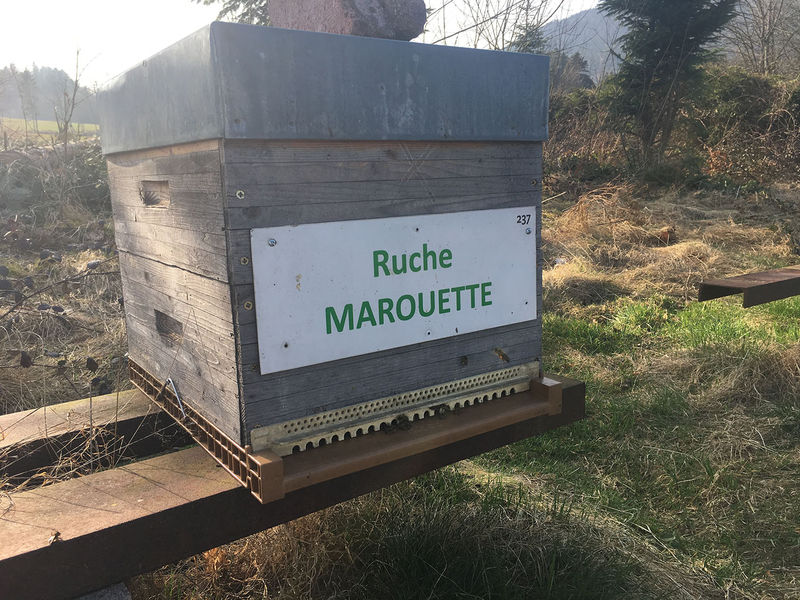 La ruche Marouette