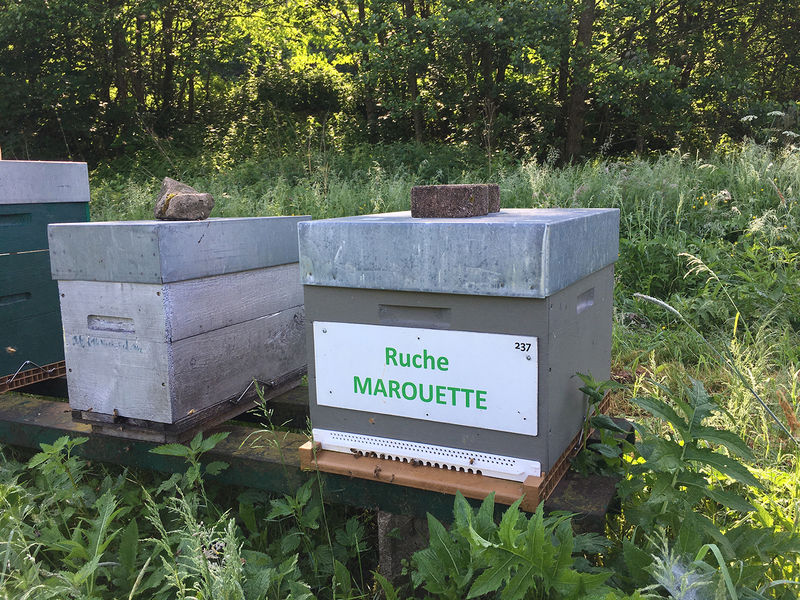 La ruche Marouette