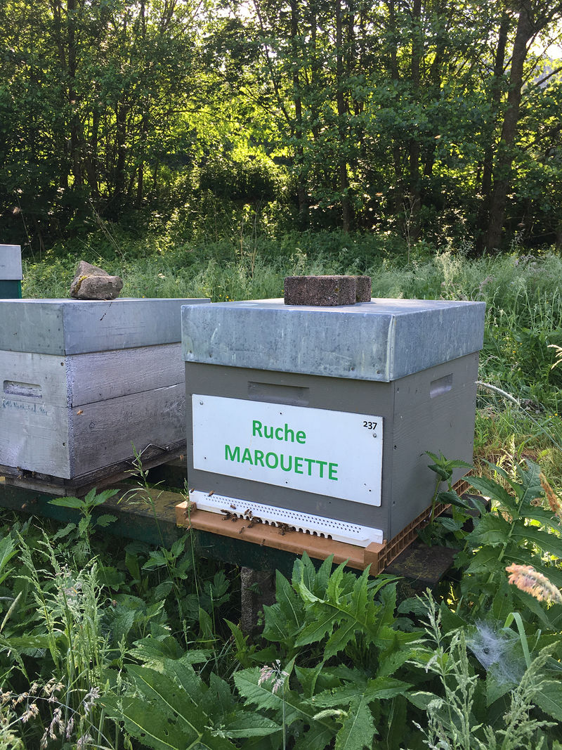 La ruche Marouette