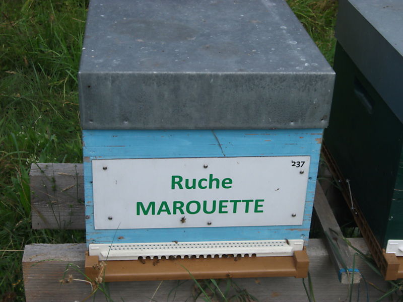La ruche Marouette