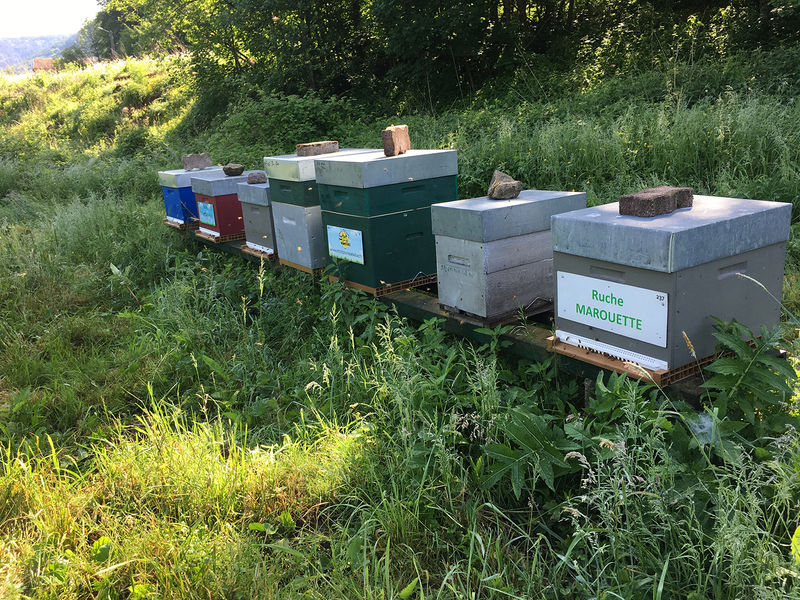 La ruche Marouette