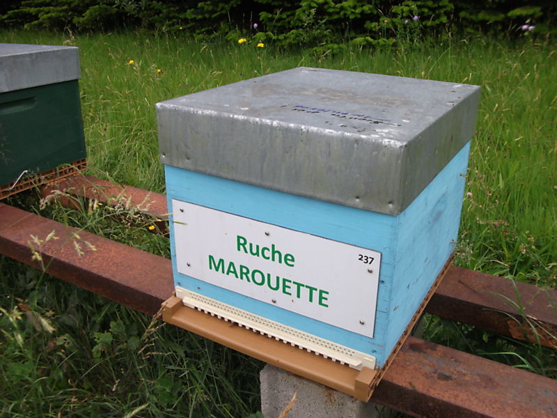 La ruche Marouette