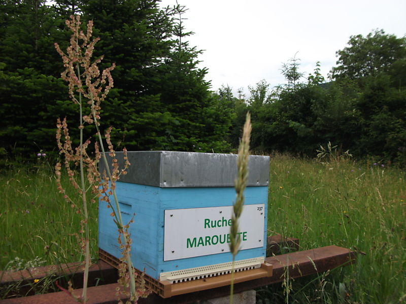 La ruche Marouette