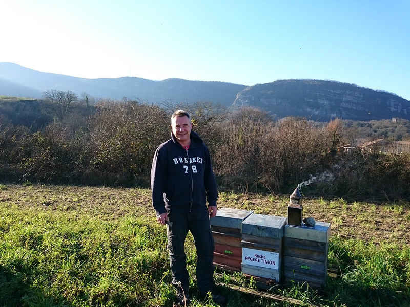 La ruche Pygere timon