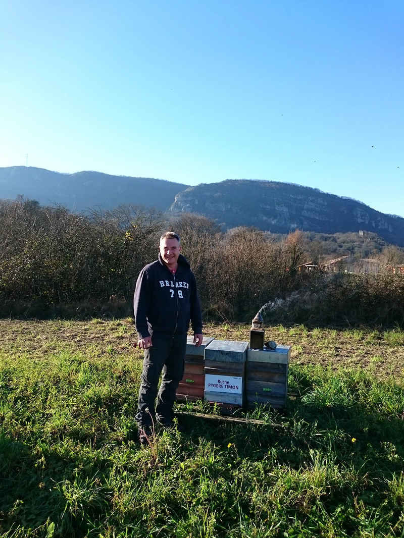 La ruche Pygere timon