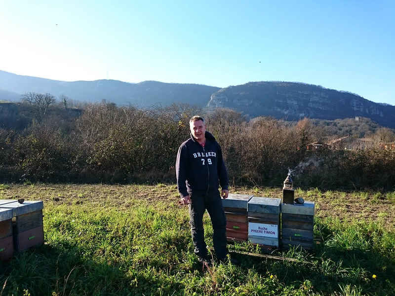 La ruche Pygere timon