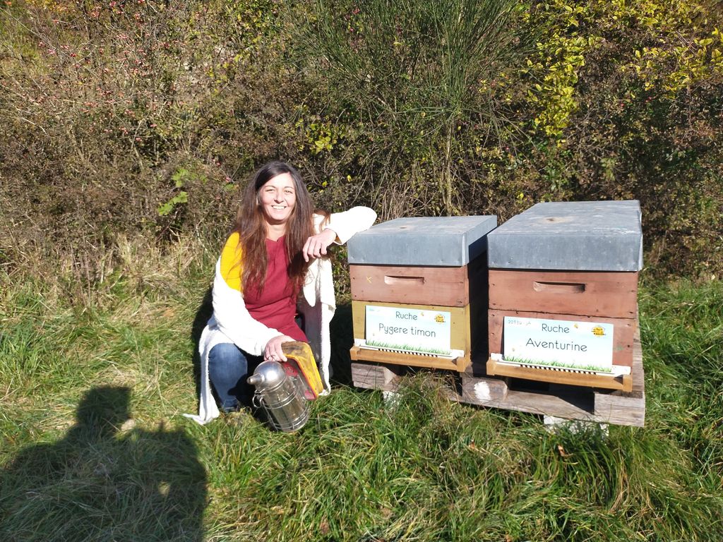 La ruche Pygere timon