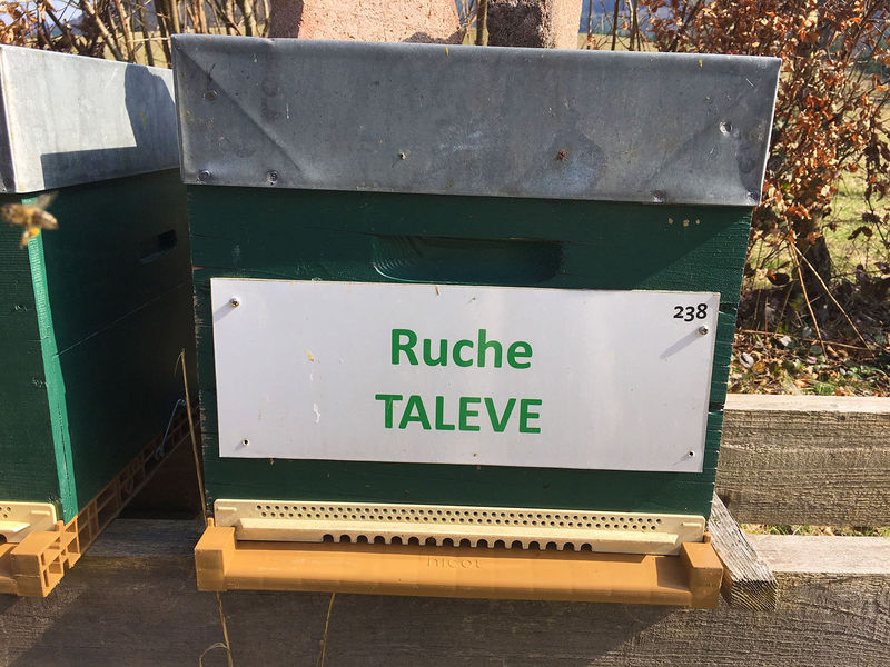 La ruche Talève
