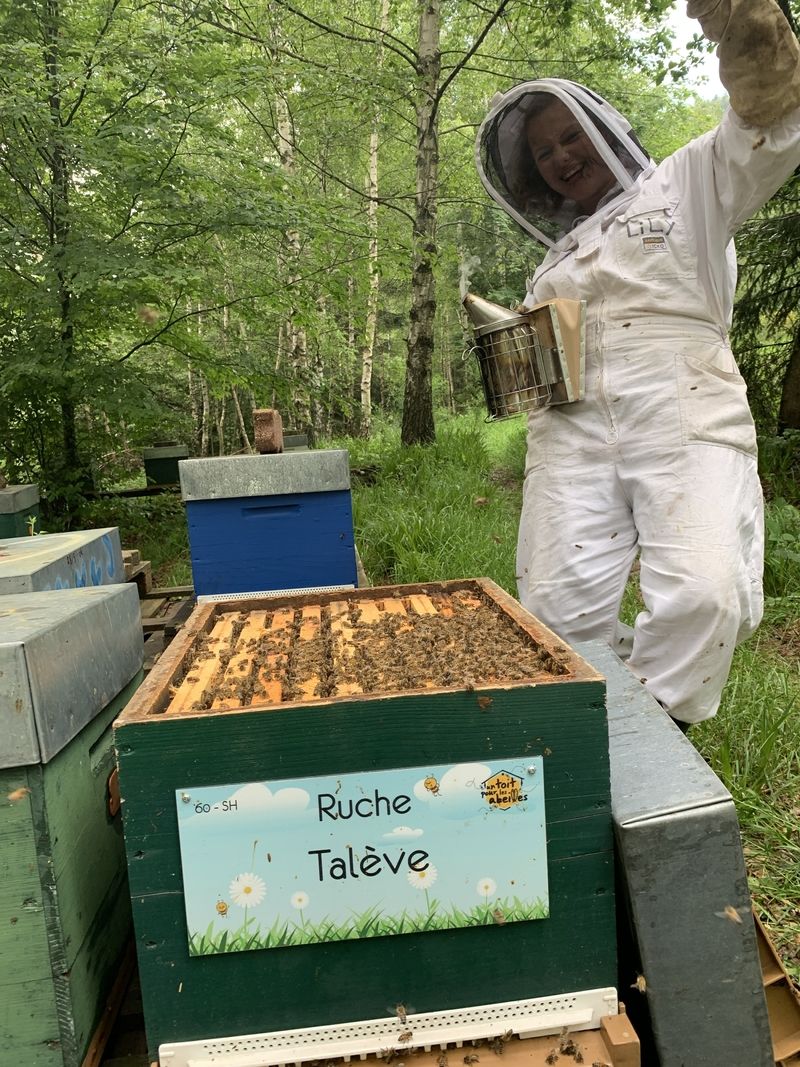 La ruche Talève