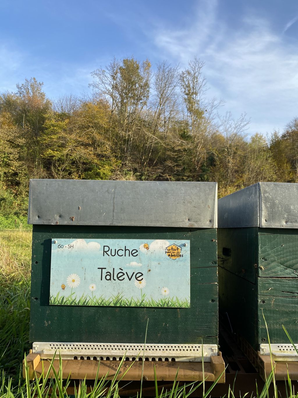 La ruche Talève