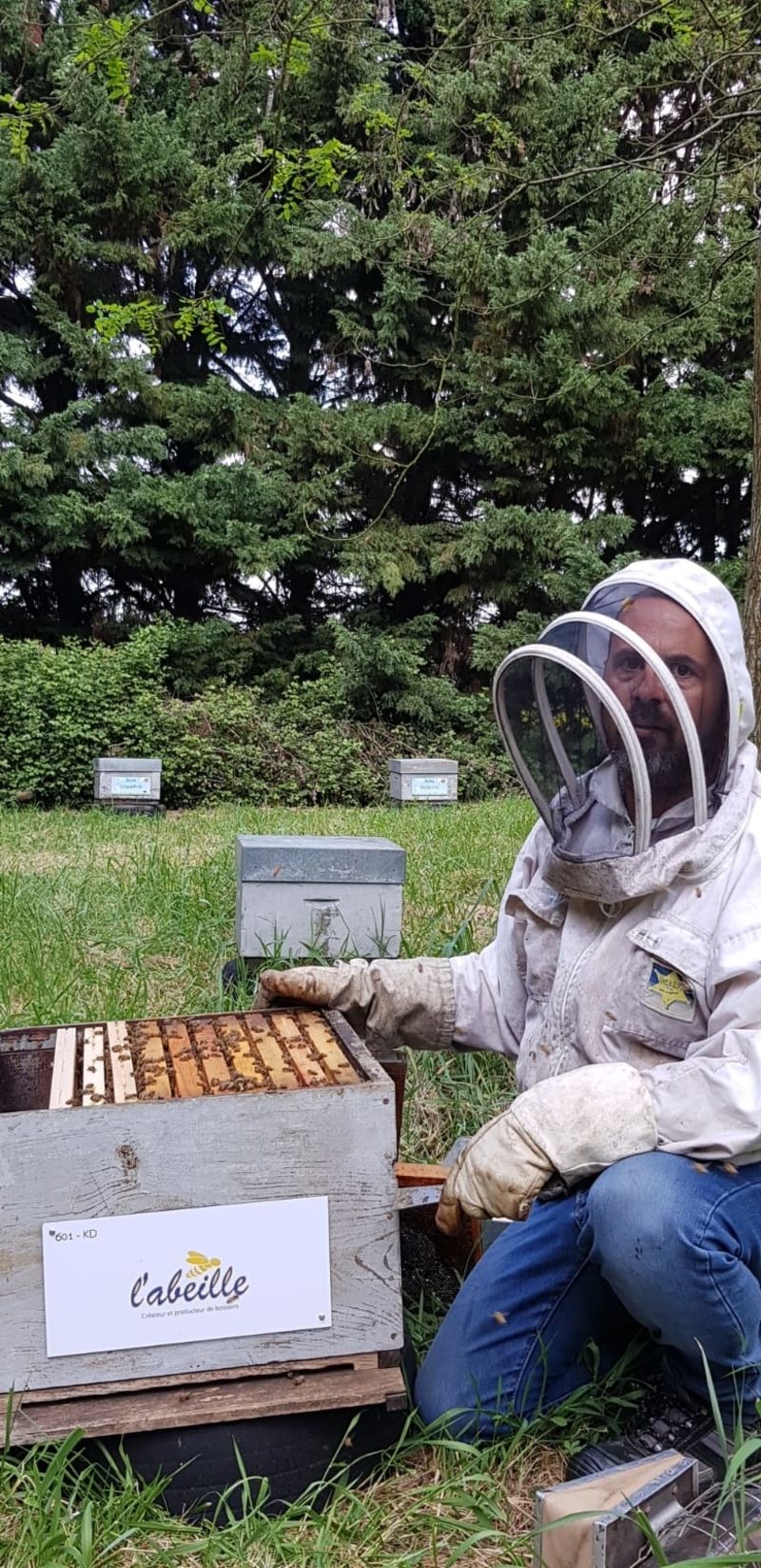 La ruche L abeille