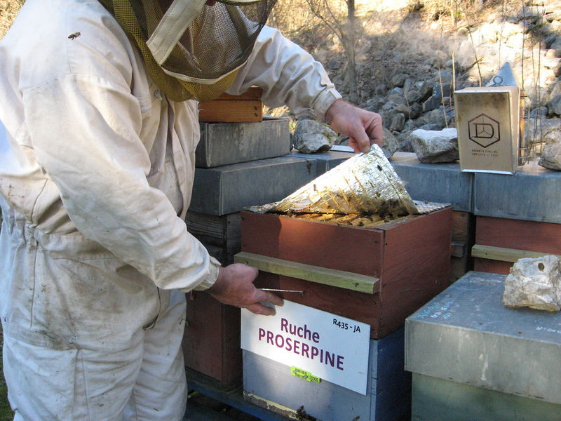 La ruche Proserpine