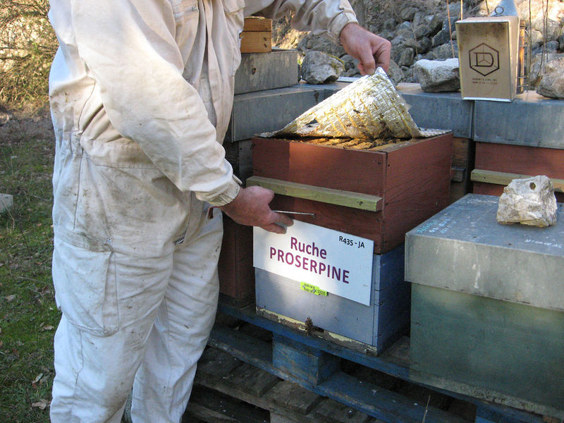 La ruche Proserpine
