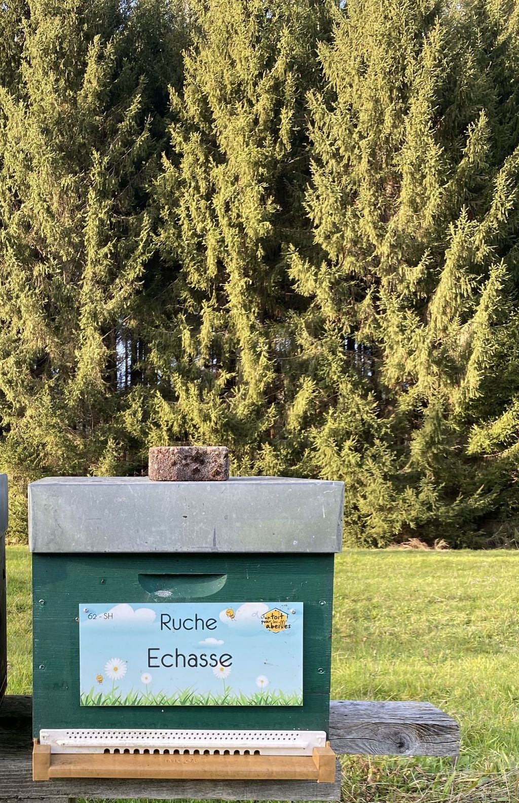 La ruche Echasse