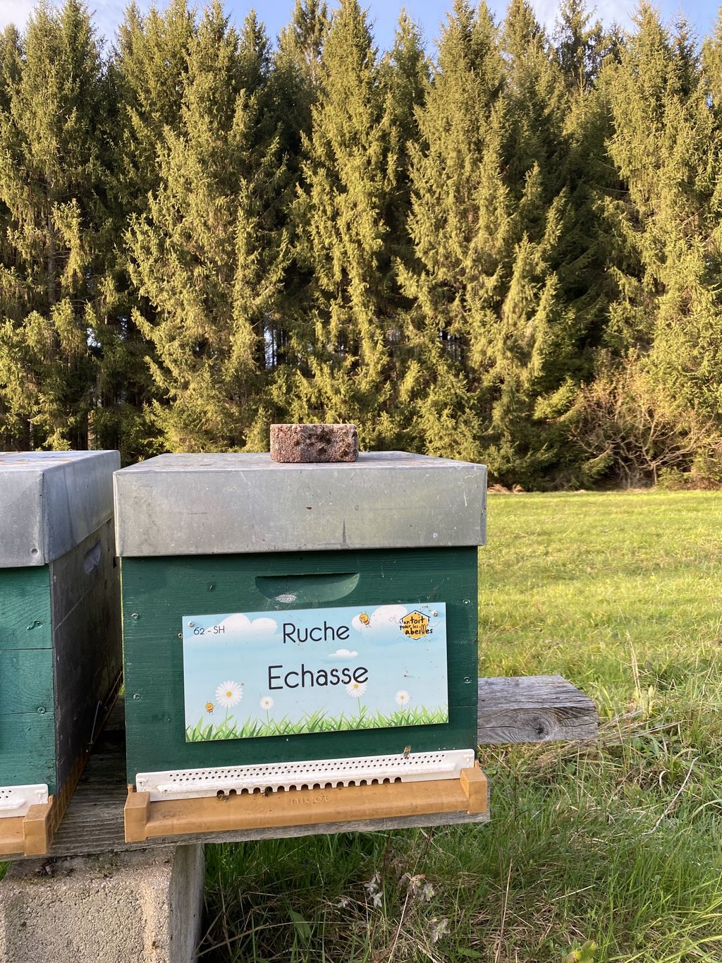 La ruche Echasse