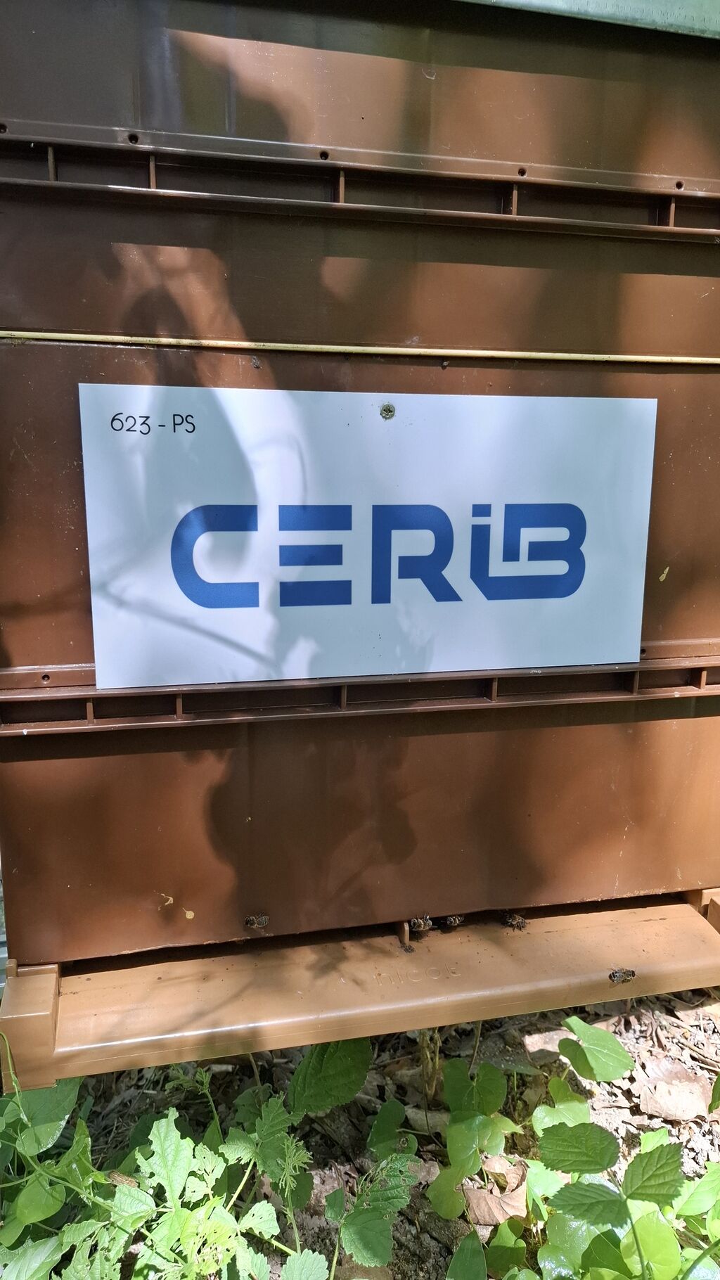 La ruche CERIB