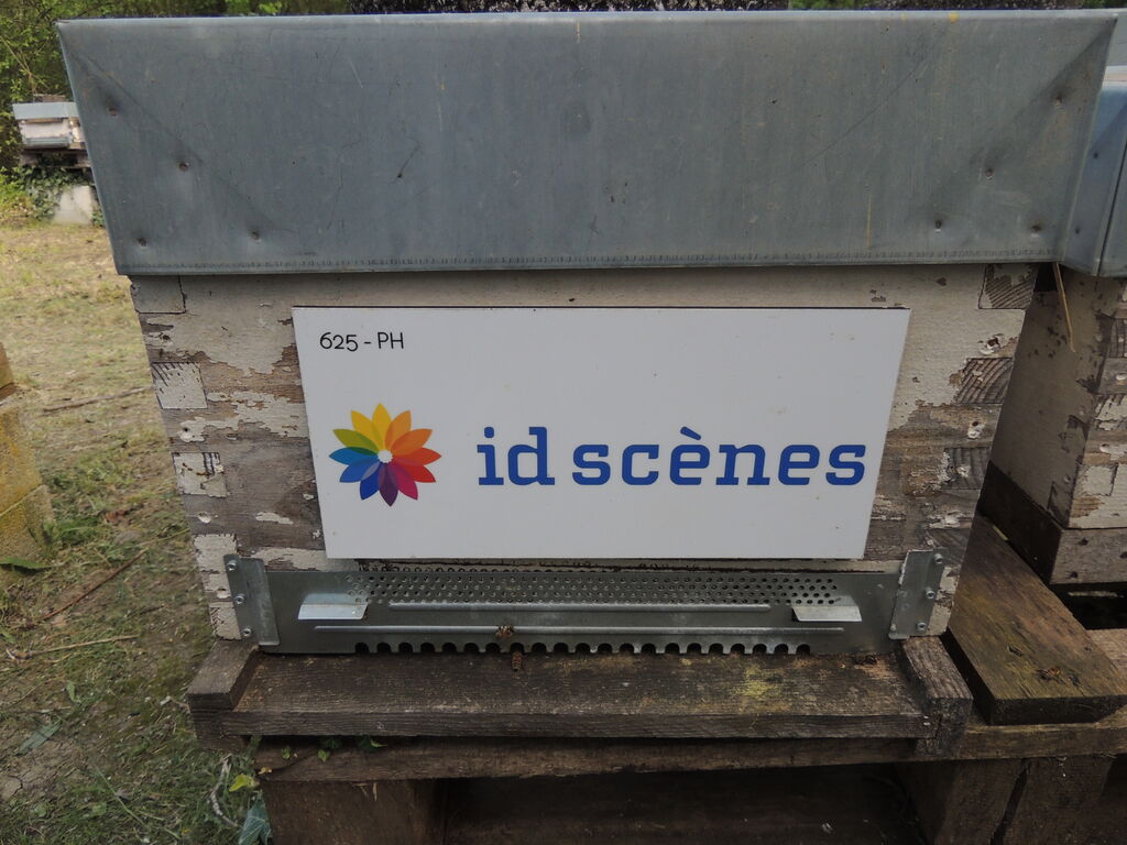 La ruche Id scenes