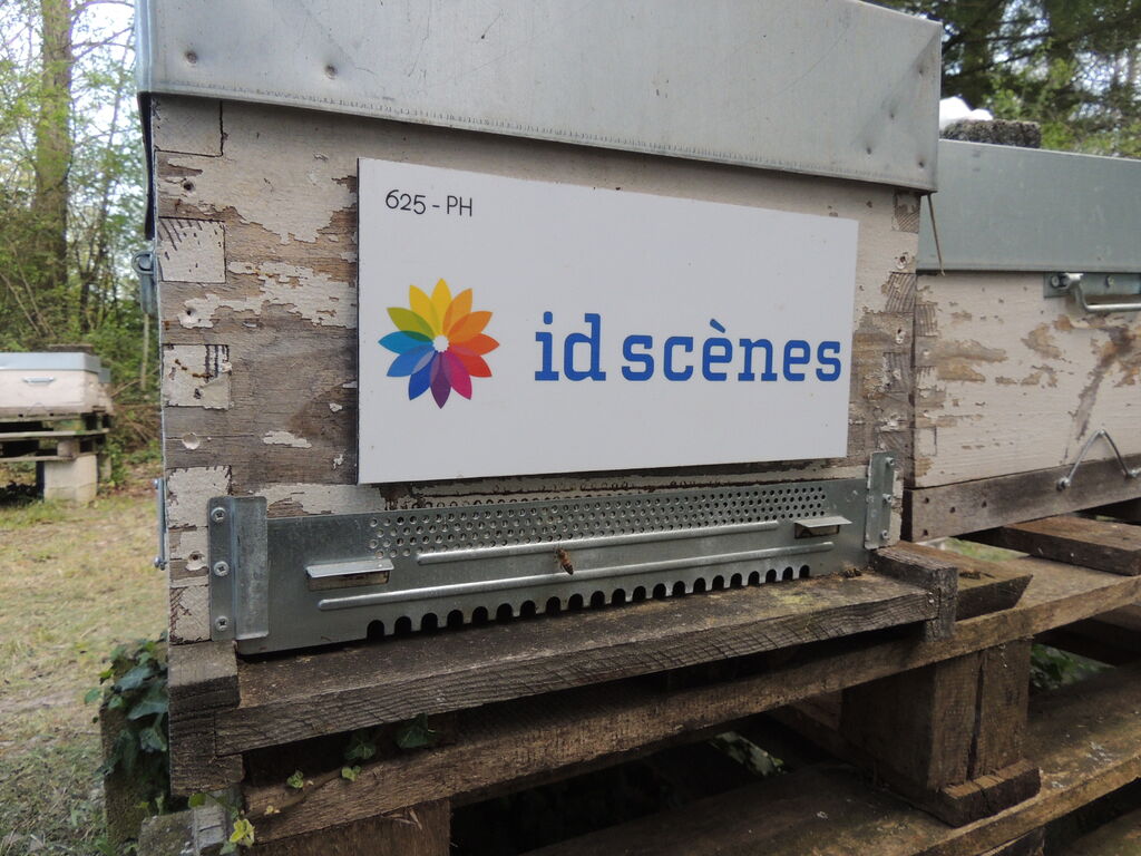 La ruche Id scenes