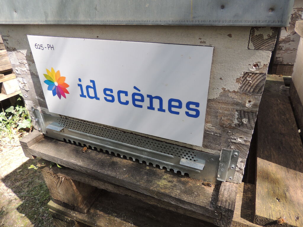 La ruche Id scenes