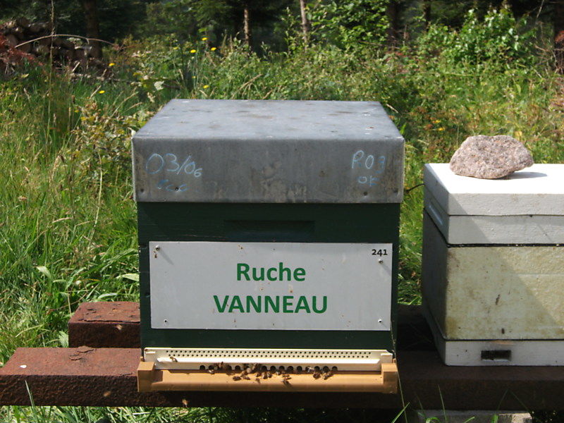 La ruche Vanneau
