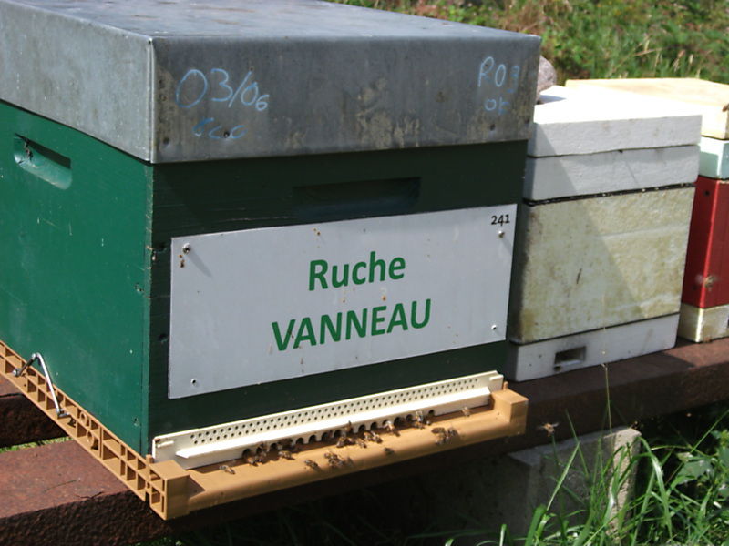 La ruche Vanneau