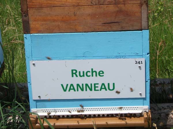 La ruche Vanneau