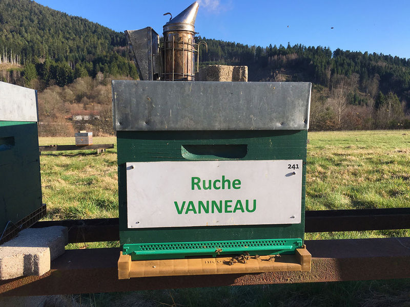 La ruche Vanneau