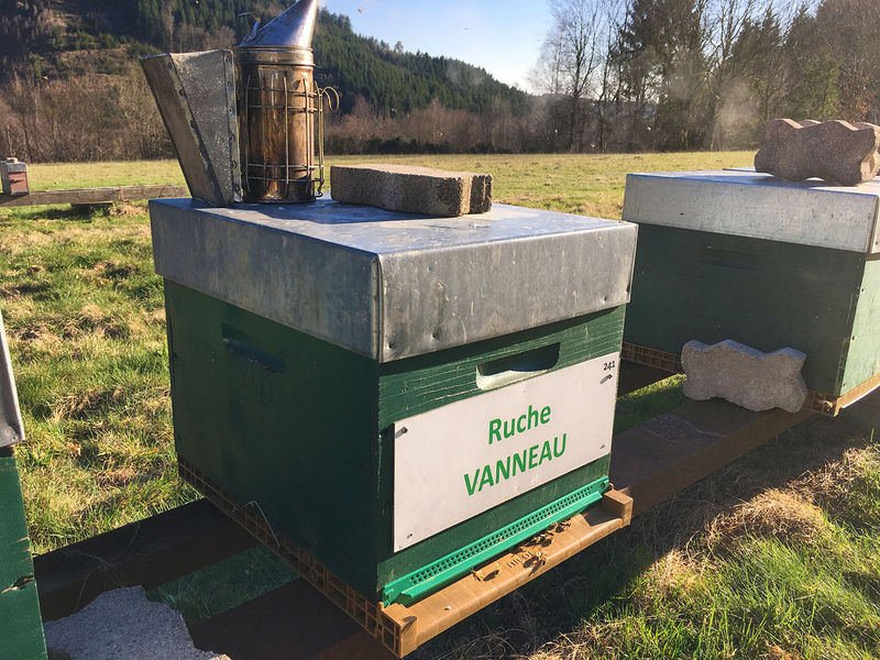 La ruche Vanneau