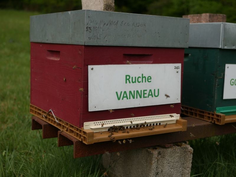 La ruche Vanneau